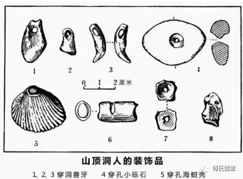 8万年前的旧石器时代,人类就已经和珠子结下了缘分,从山顶洞人遗址上