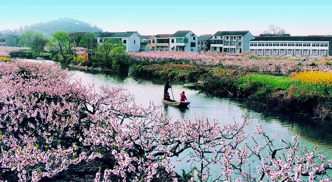 阳山桃花源