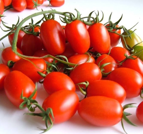 治高血压 小番茄的功效作用和搭配禁忌介绍