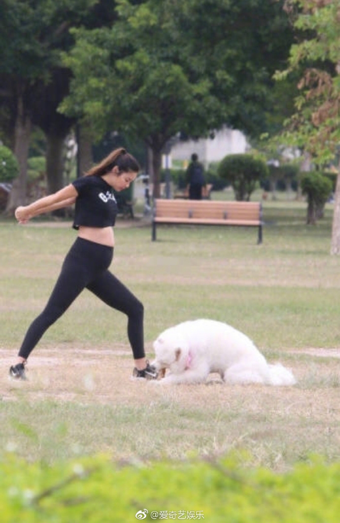 乐基儿怀孕 预产期明年春 宝宝性别暂时保密