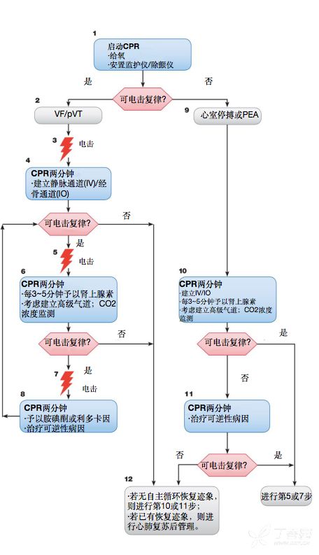 2018AHA 心肺复苏指南更新 | 要点速读