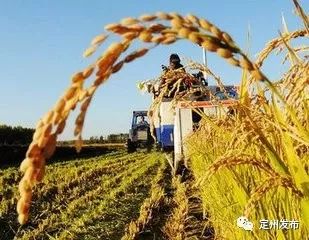 【改革开放40周年】农业农村四十年发展历程
