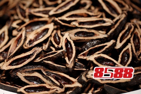 槟榔虽好 但也不能多吃