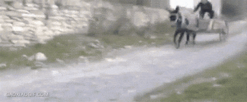 车发现:五菱宏光遇上他们也得服!