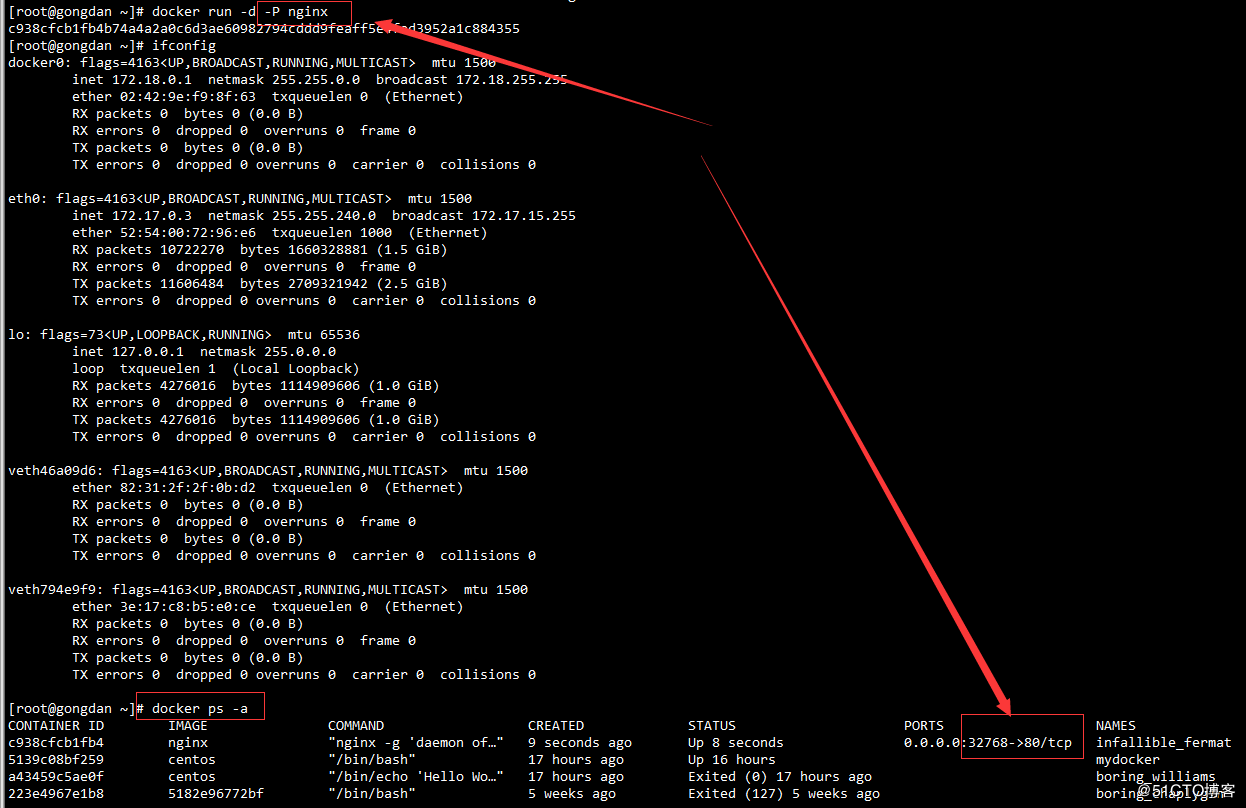 docker入门实战(理论+实践)系列---docker网络