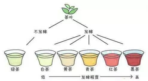 红茶?绿茶?白茶? 所以，中国茶到底是怎么分类的?