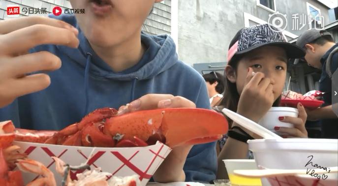 看了欧阳娜娜的vlog，是我向往的生活