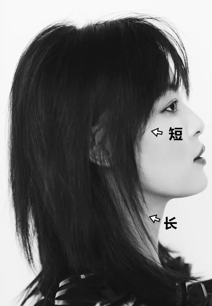 抖音爆红的辛芷蕾短发,圆脸居然也可以这么好看