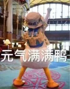 每一天依旧要元气满满鸭!