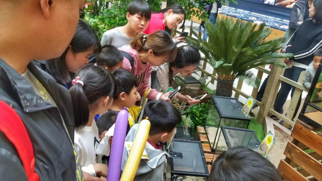 2018首届“凯德i buy嗨购节” 全城钜惠，完美收官