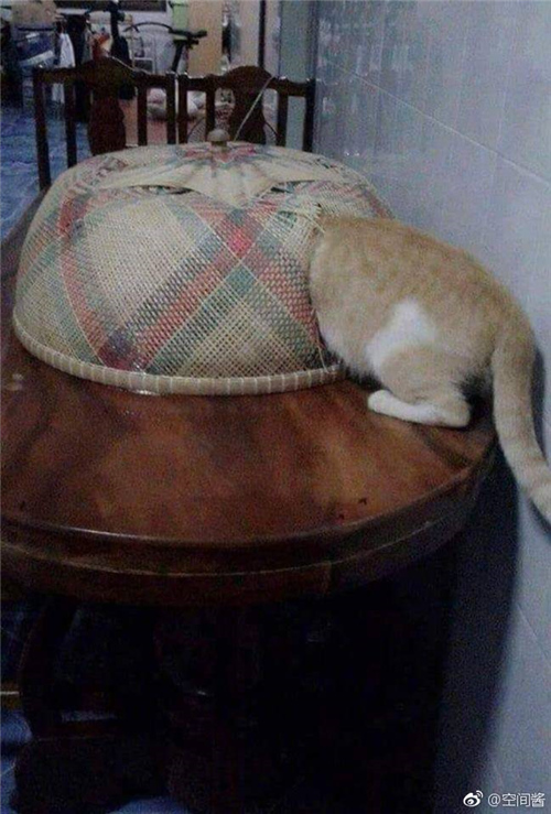 每日神段子丨我等快递的时候真是毫无尊严！