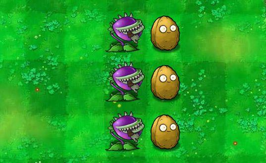 植物大战僵尸坚果图片