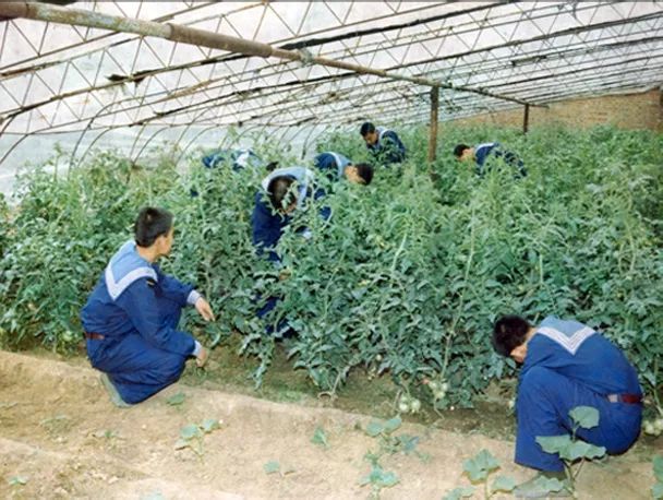 这里是旅顺口_凤凰军事