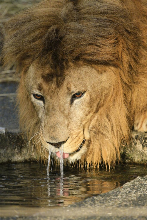 每日神段子丨我等快递的时候真是毫无尊严！