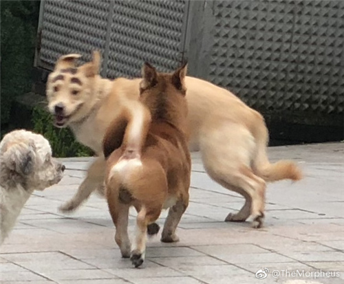 每日神段子丨判断渣男的一个小细节!