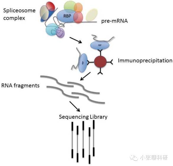 检验医学护理论文网论文检测报告是什么意思