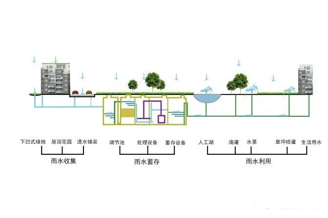 初期雨水收集