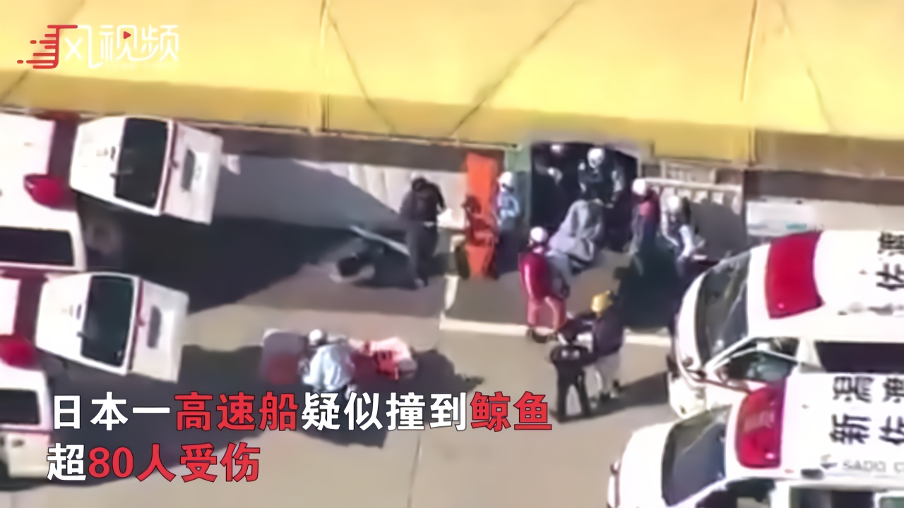 日本一高速船疑似撞到鲸鱼 超80人受伤