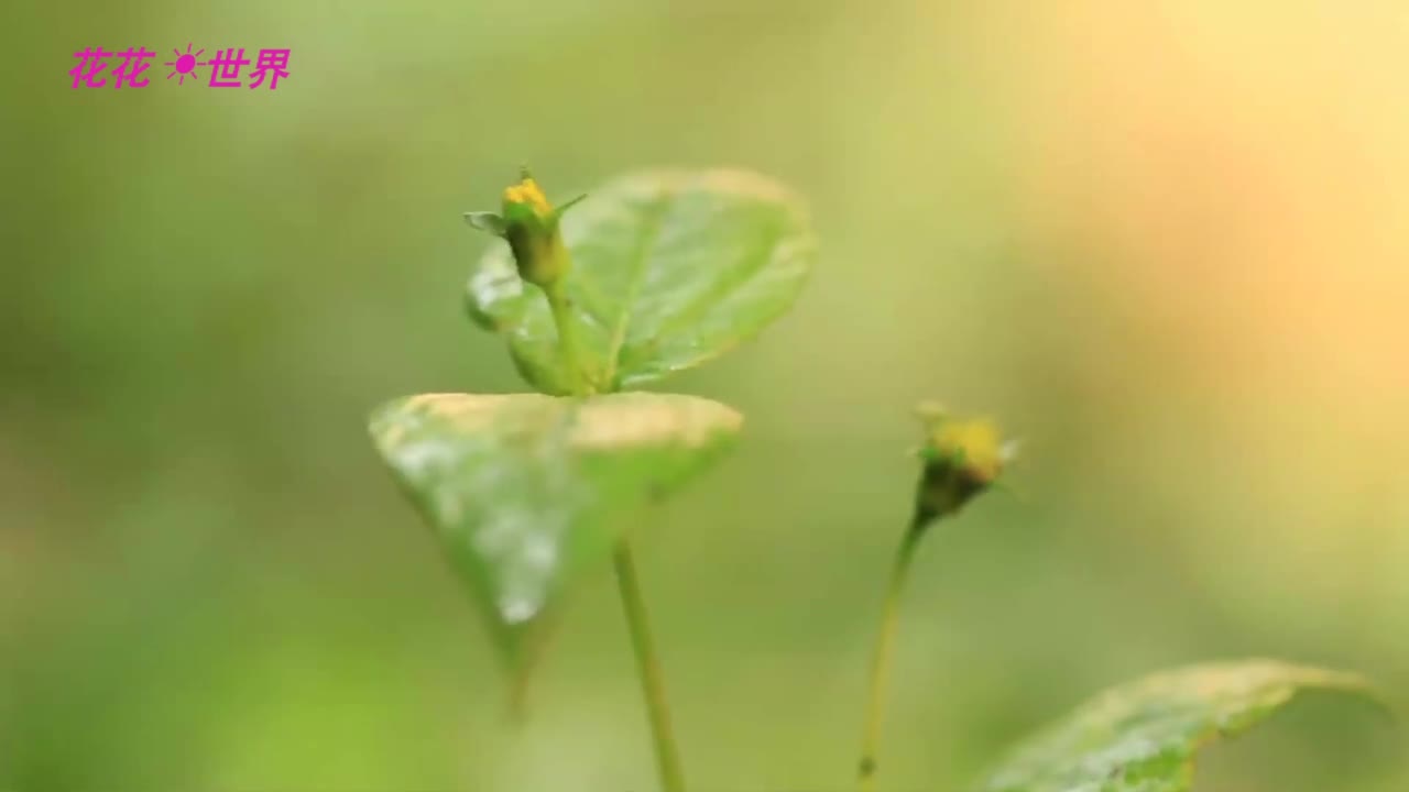 你真的会减盐吗 学会这个技巧 吃出健康来