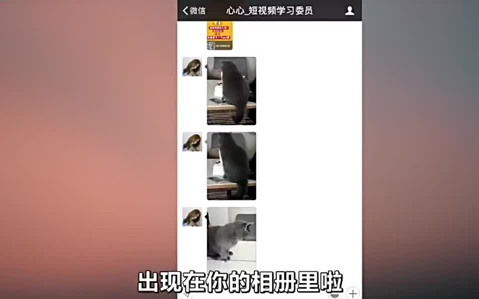 微信聊天记录图片 只需这样就能一键批量保存