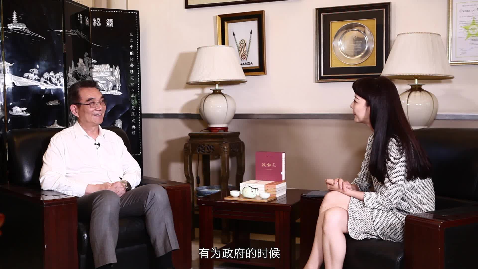 林毅夫谈有效市场和有为政府