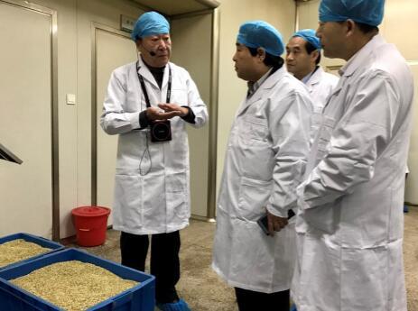 介绍药品生产流程