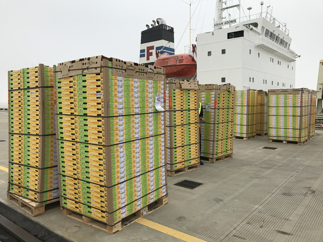 2017佳沛新西兰奇异果开季销售 云集微店发售