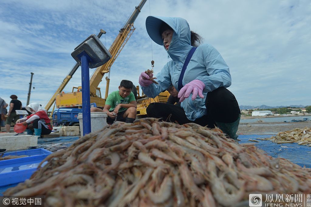 渔民捕获近万斤海产