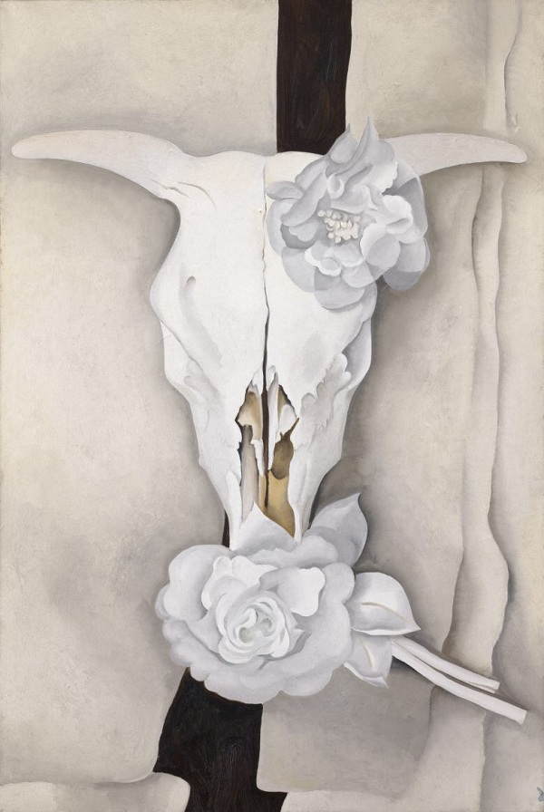 乔治亚·欧姬芙《牛头骨与白玫瑰》1931年,芝加哥艺术博物馆,阿尔弗雷