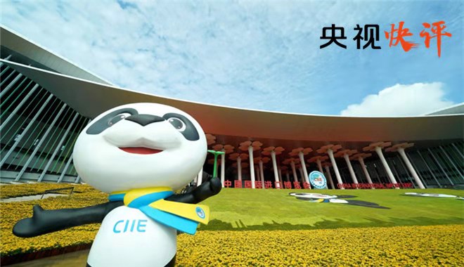 进口博览会经济总量_进口博览会图片(2)