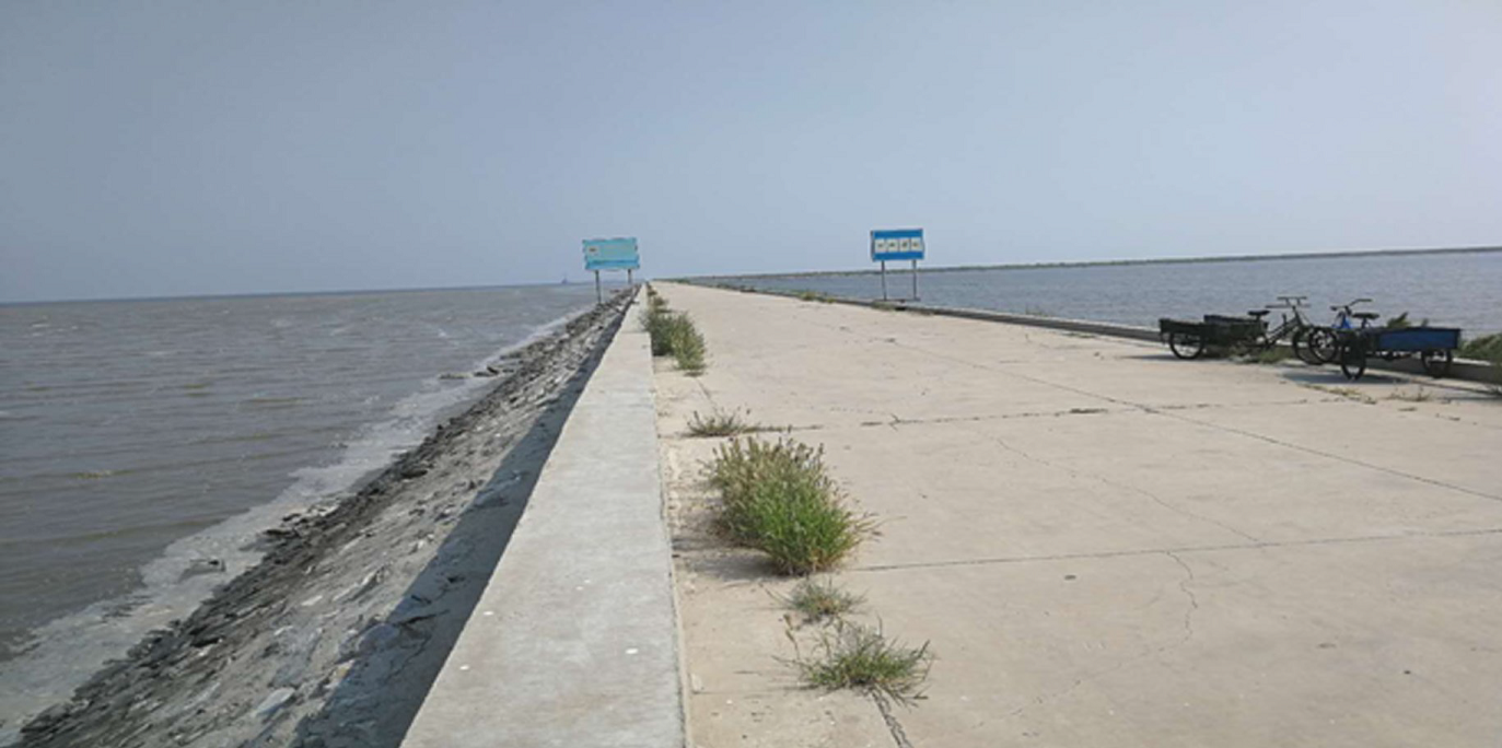 天津违规建设的跨海公路将海域截断,右侧为被圈占海域.