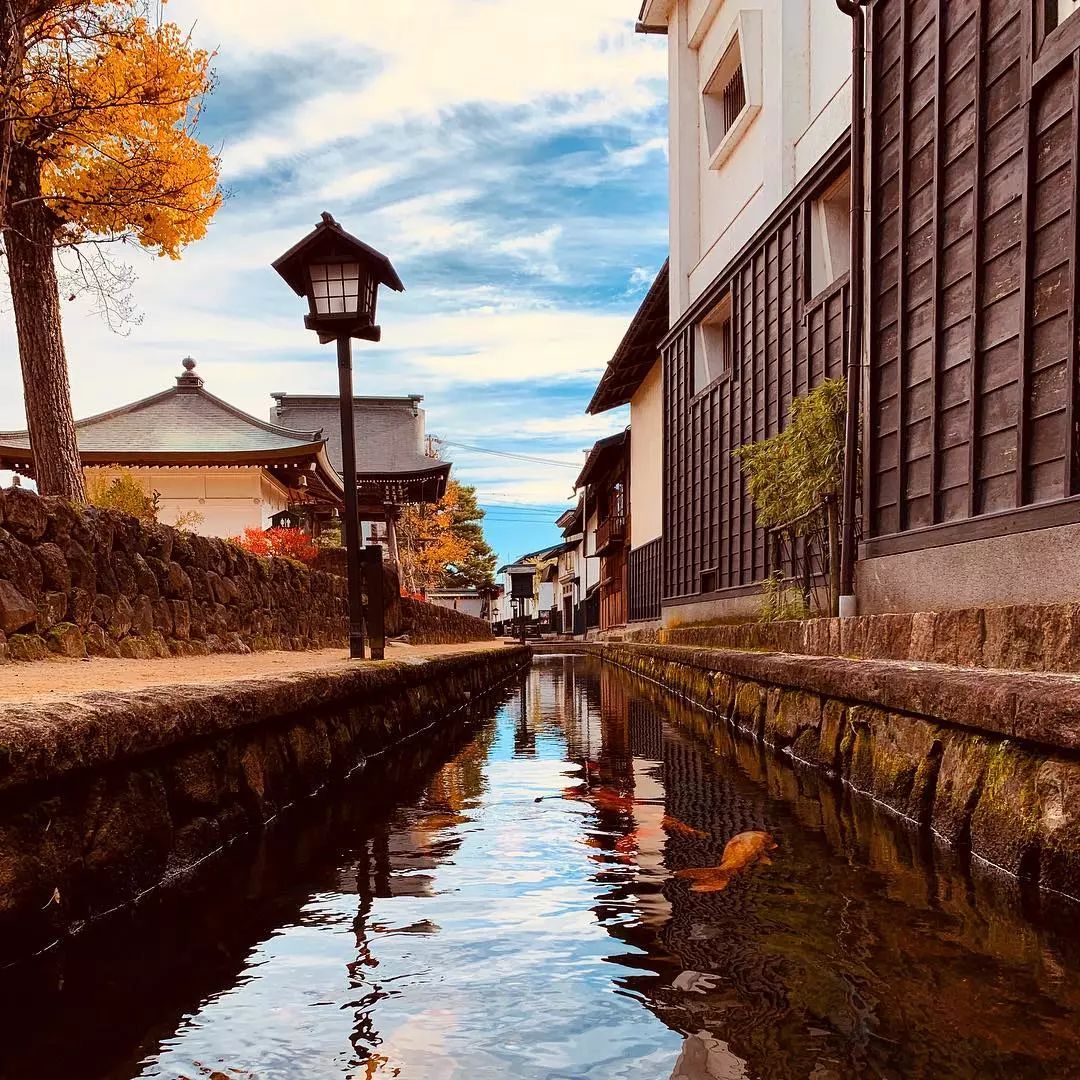 原来锦鲤的温柔乡就在日本乡下还藏着不输神户的飞驒牛肉