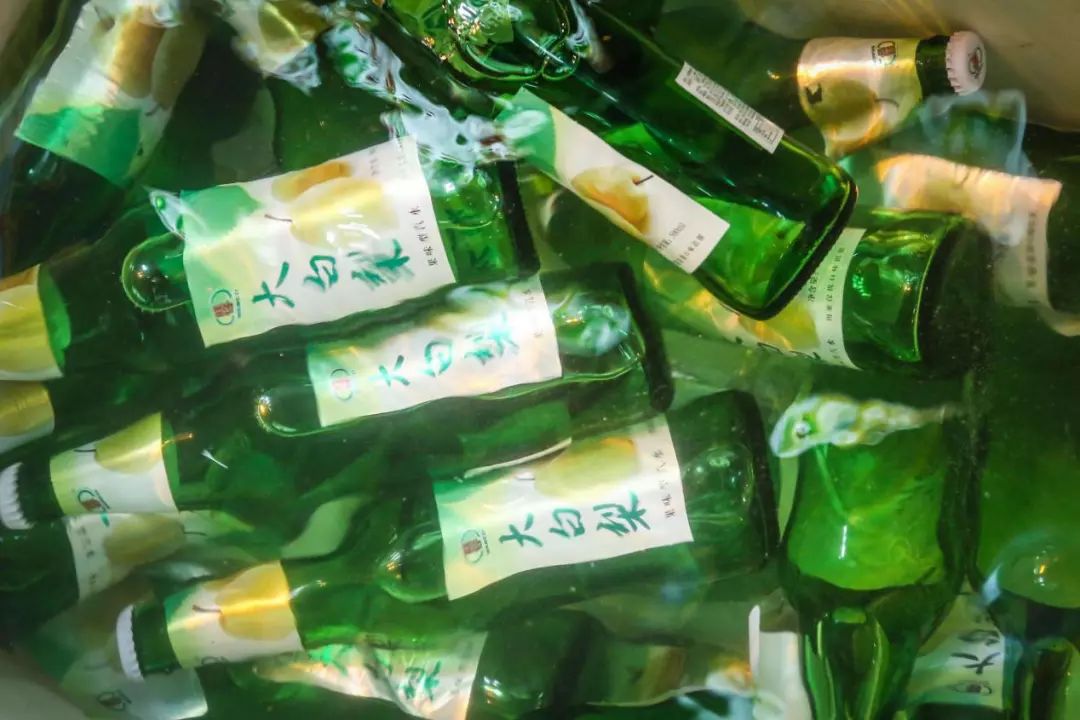 大白梨汽水
