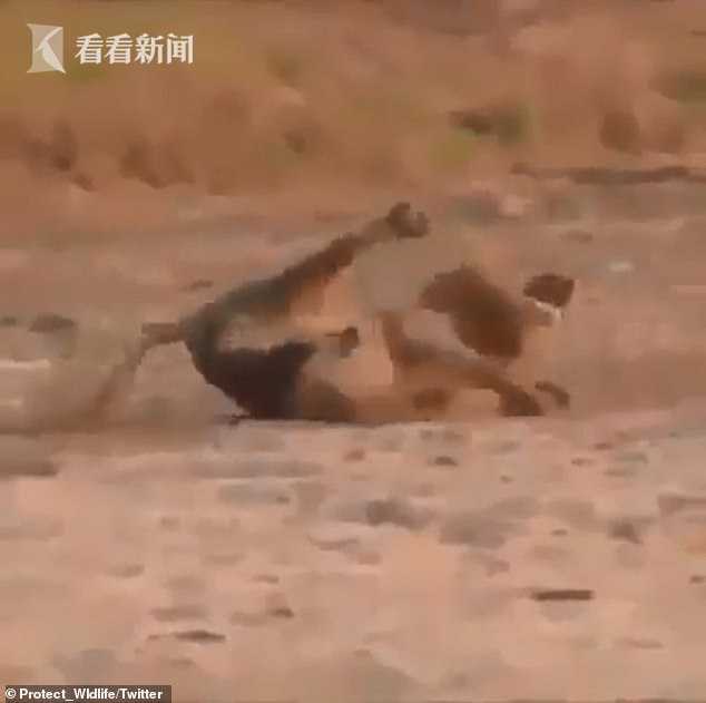 文章配图