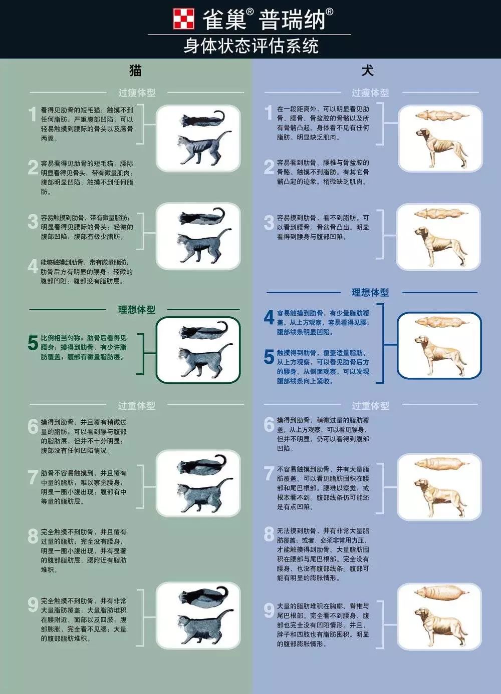 千亿宠物市场掘金,靠什么取胜?