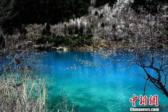 三月的九寨沟风景如画。 安源摄 三月的九寨沟风景如画。 安源摄