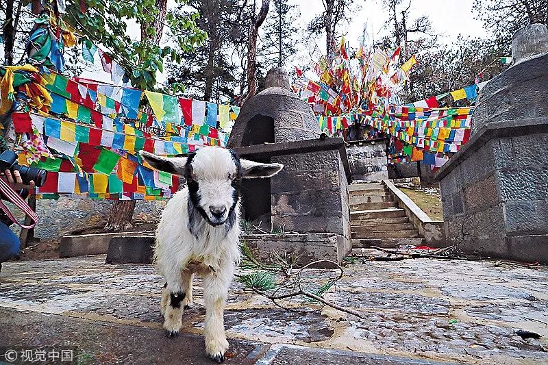 三天感受香格里拉的神秘与雄浑 | 大美中国