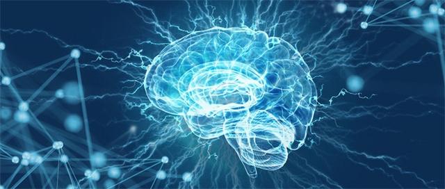 科学家成功 复活 死亡猪脑 这项研究离 死而复生 还很远 科技湃 澎湃新闻 The Paper