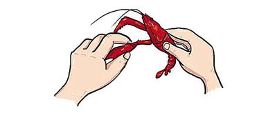 剥虾师成新职业半小时剥3斤做到只剥不吃