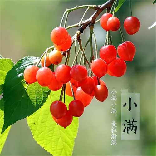 资料图