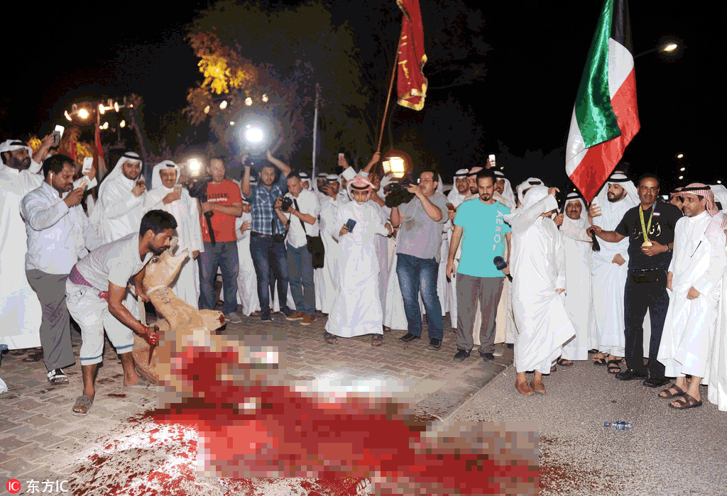 科威特人杀骆驼迎接奥运冠军