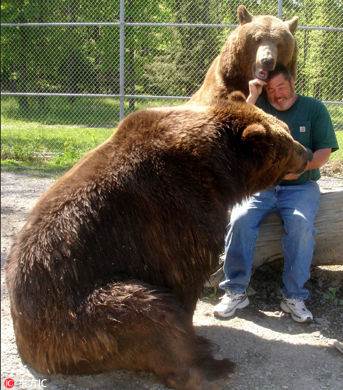 kowalczik与身高10英尺(约3米),体重1400磅(约合635千克)的巨熊金宝