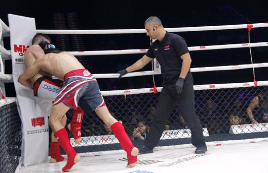 世界综合格斗锦标赛中国队获第三 刘郑获银牌创纪录