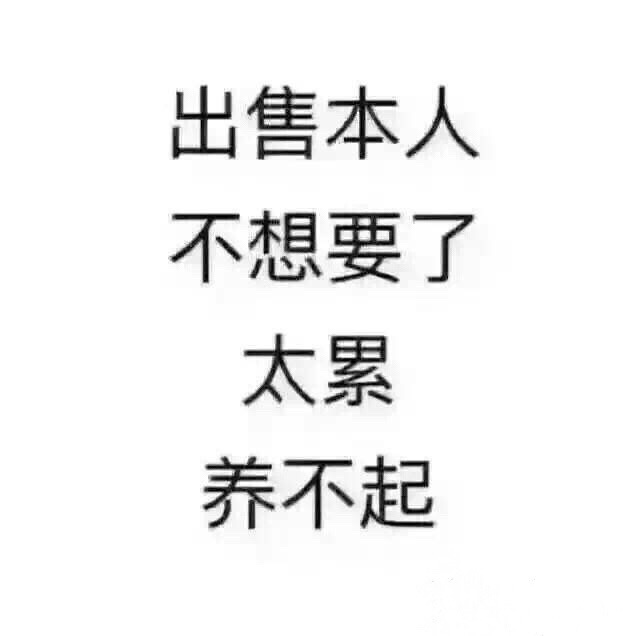 午fun来了年底清仓出售本人不想要了太累养不起