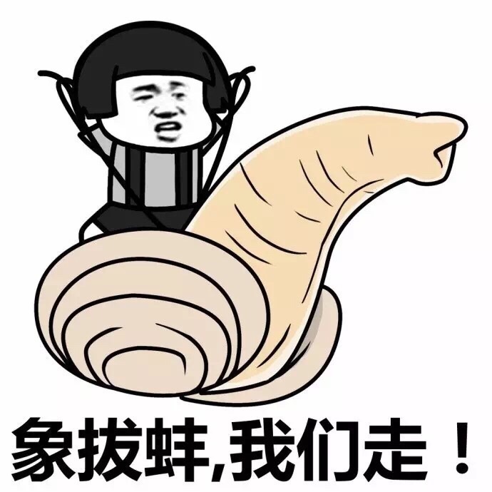 别以为我不知道,这艘要是叫皮皮虾号了,下一艘你们肯定就要叫象拔蚌号