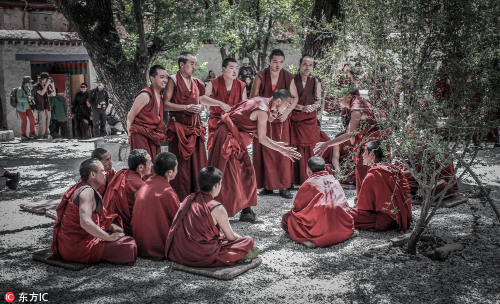实拍西藏色拉寺辩经 具有六百多年历史的虔诚信仰