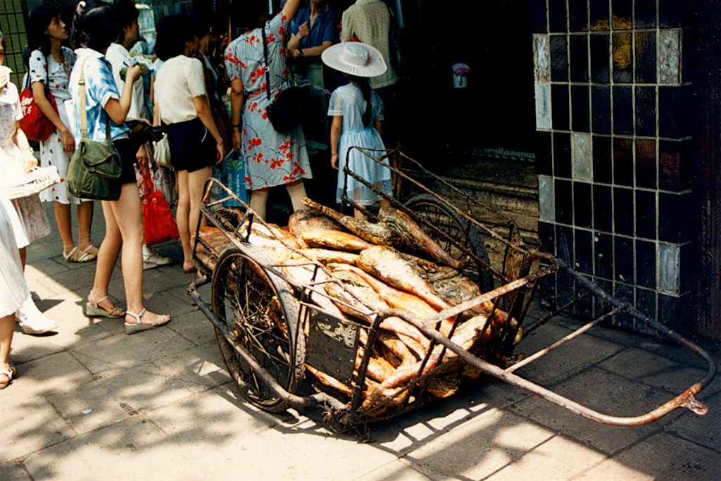 夏日记忆:1987年的中国百姓生活