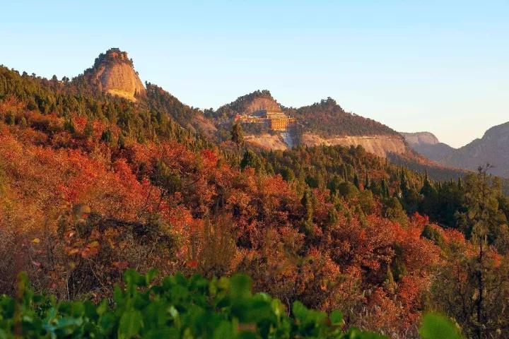 去照金香山看醉美紅葉與千年古剎相映成畫