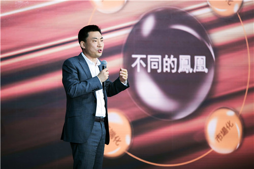 凤凰卫视全球品牌大会在北京召开