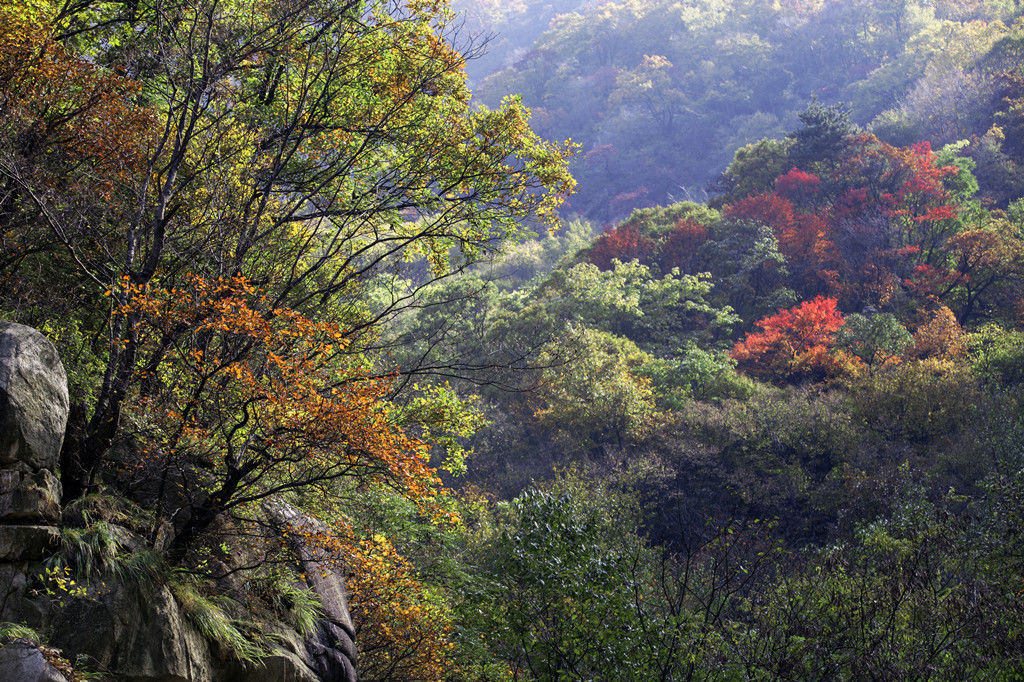 "层林尽染多彩尧山"——李淑芳优秀摄影作品赏析